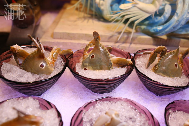 适合周末吃的海鲜自助餐,一次吃个够的海鲜自助餐