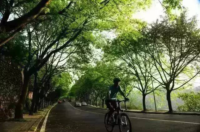 第一次来赣榆哪里不能去,千万别来日照旅游