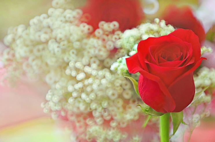 明明每一分钟都在想一个人,每一秒都想和你在一起小说