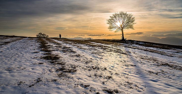 我会一直思念你,我会永远想念你