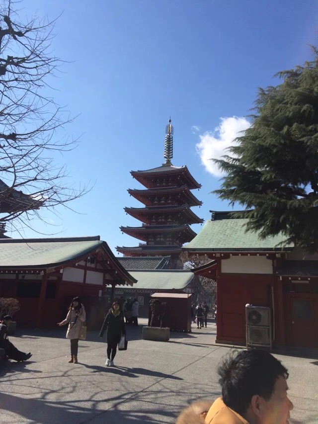 日本旅游马桶,日本旅游购物攻略一览表