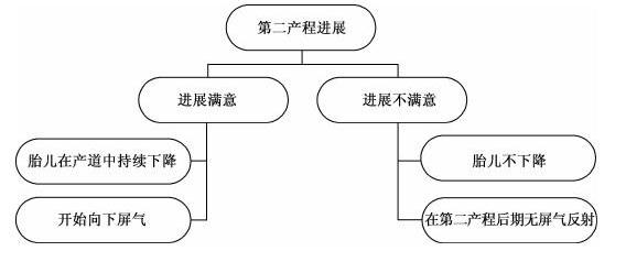 第二产程全过程记录,结合ppt讲解自然分娩的知识