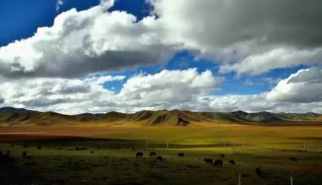 中国十四天旅行攻略 (顺着24节气游遍中国)