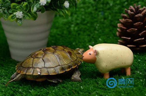 青岛女子花了1000多买东西,青岛女子花一千元逛超市抖音号