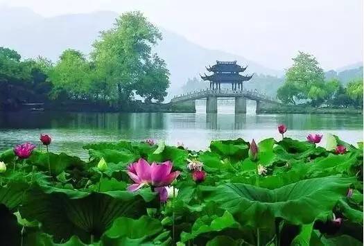 中国每个季节的旅游攻略 (中国一年四季的旅游攻略)