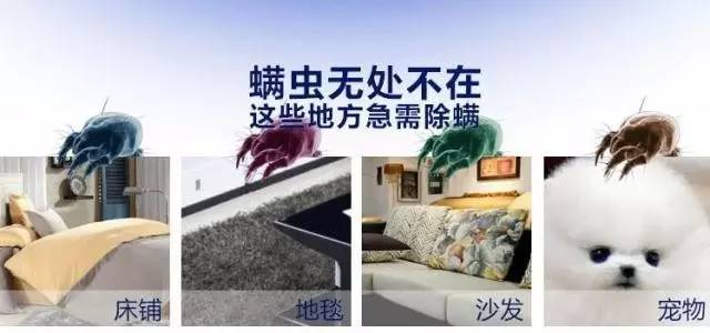 原来每天都和她们睡在一起，你知道吗？