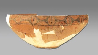 小男孩看鱼的视频,小男孩看鱼