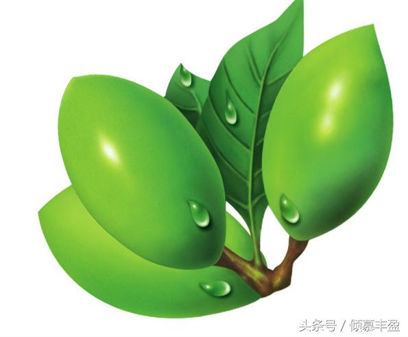 槟榔的危害太可怕,槟榔的危害有多恐怖