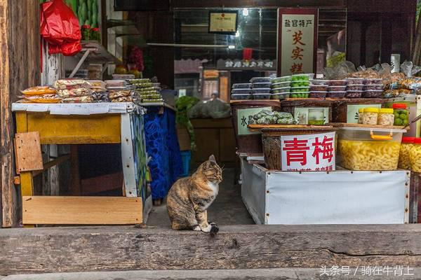 乾隆六下江南去的是哪些地方,徐志摩家乡旅游攻略