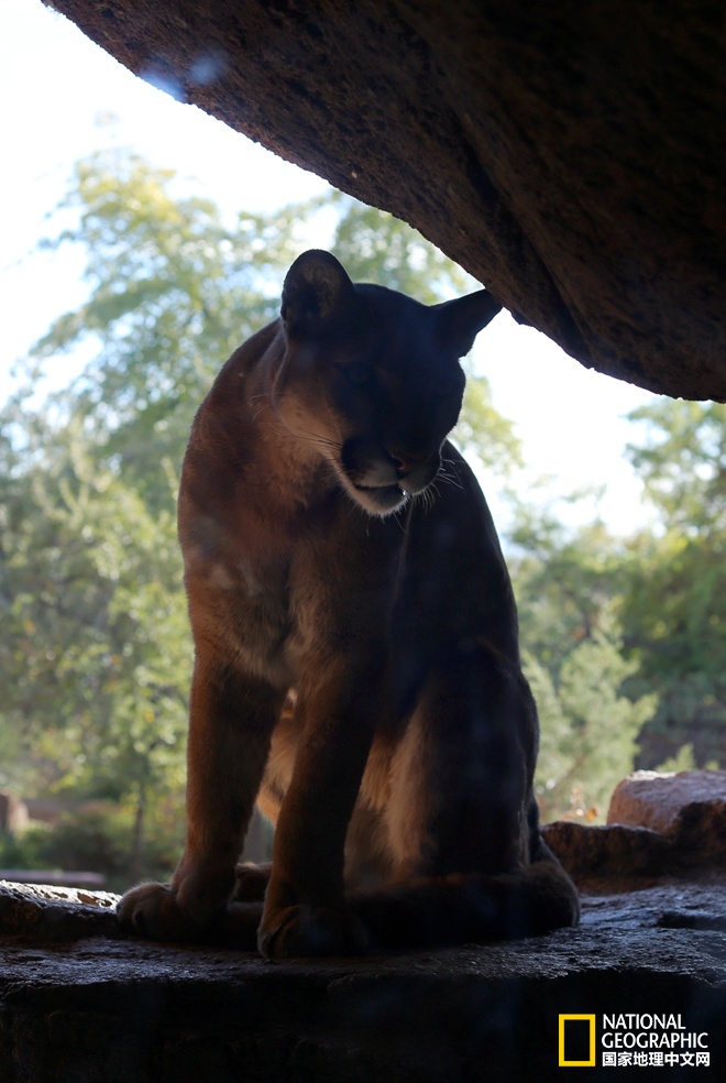 图森仙人掌,图森地理位置