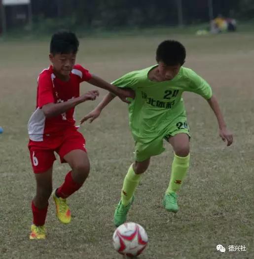 马德兴专栏直播,马德兴专访