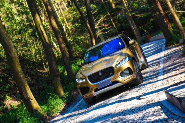 新款捷豹F-PACE测评,捷豹suv车型f-pace越野测试