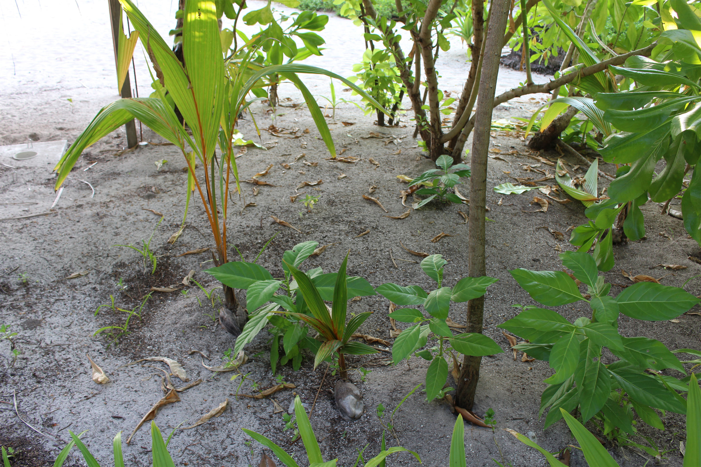 马尔代夫最美景色,最美马尔代夫风景