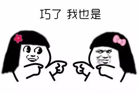 香港名嘴查小欣,查小欣评价