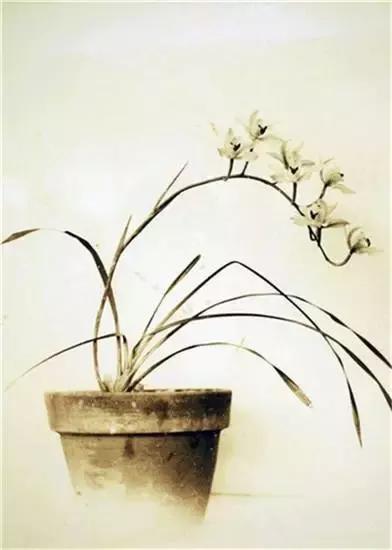 这才是真正的中国风,这才是真正的中国风古装