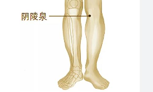湿气重有哪些表现怎么祛除湿气,身体有湿气如何祛除湿气