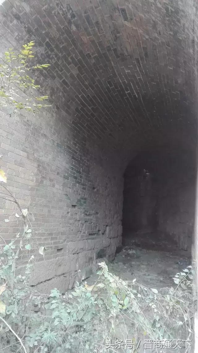 钟灵秀小说,钟灵秀视频