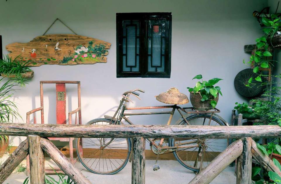 深圳哪里有大片的花海可以欣赏,深圳的花海有多美