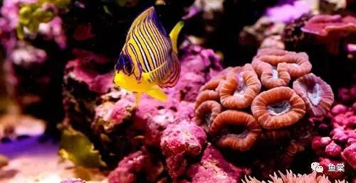 年关将近大家出门一定要注意安全,年关将近大家出门一定注意安全