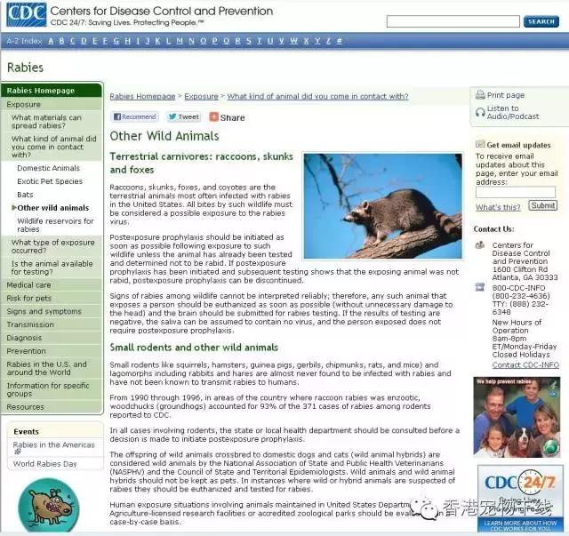 仓鼠咬人后死亡,奶茶仓鼠咬人吗