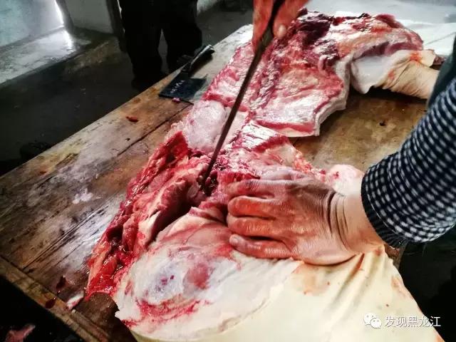 现场实拍农村一家人杀年猪全过程,东北农村真实生活杀年猪