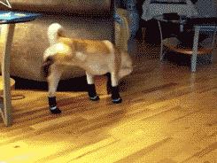 橄榄油味道有一股呛人的味道,橄榄油有股怪味很难吃