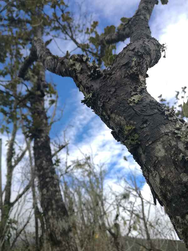 滇藏219线骑摩托进藏最全攻略,2021滇藏进藏自驾游