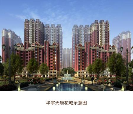 重庆华宇集团蒋杰是哪里人,华宇集团蒋杰个人资料