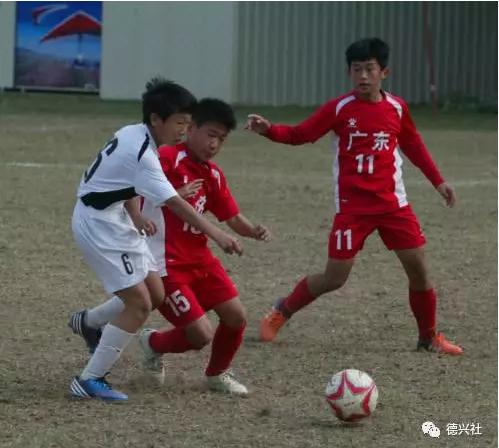 马德兴足球教育,马德兴谈中国足球