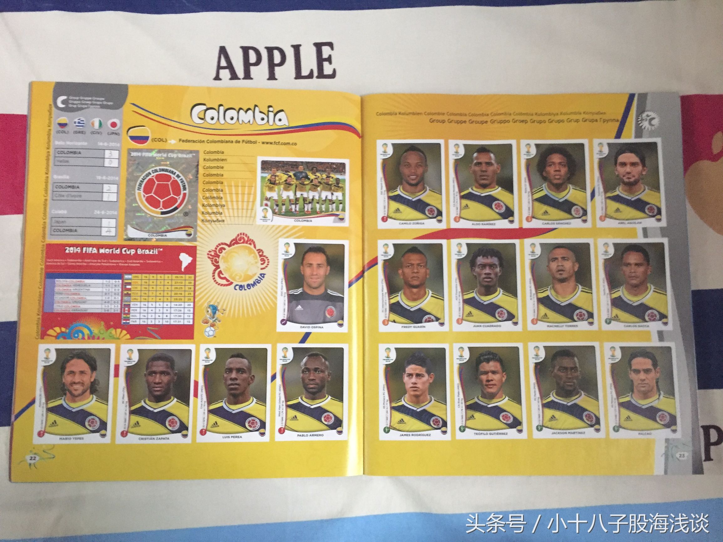 帕尼尼世界杯贴纸,帕尼尼2022世界杯收藏贴纸