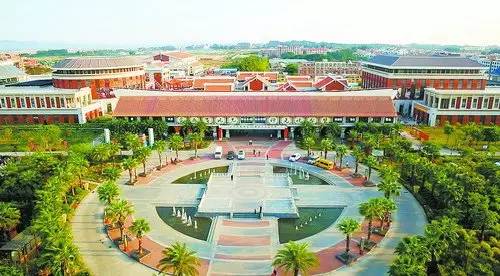 厦门冷知识你知道多少,冷知识糖怎么来的