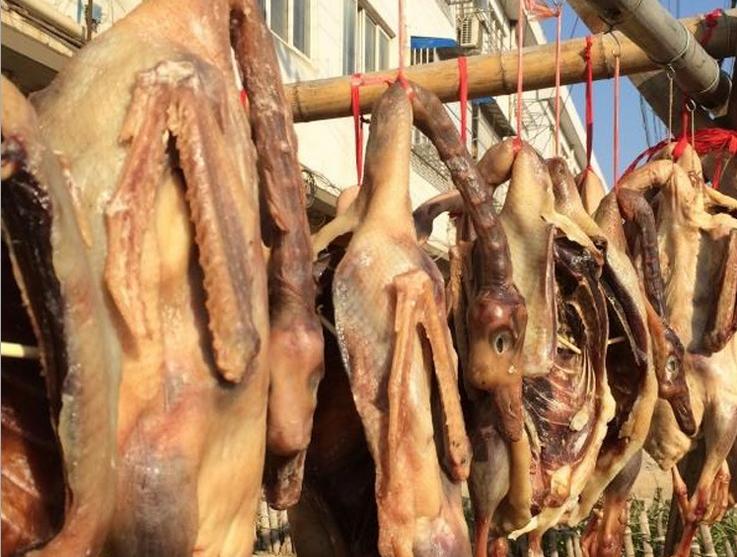 寿县特色老鹅,安徽寿县老盐鹅