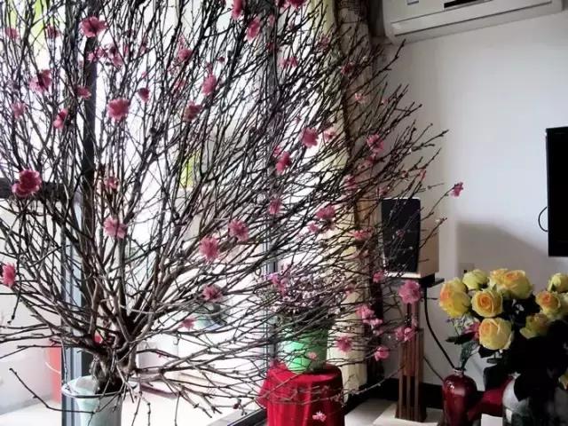 2022迎春花市深圳,深圳2024迎春花市怎么去