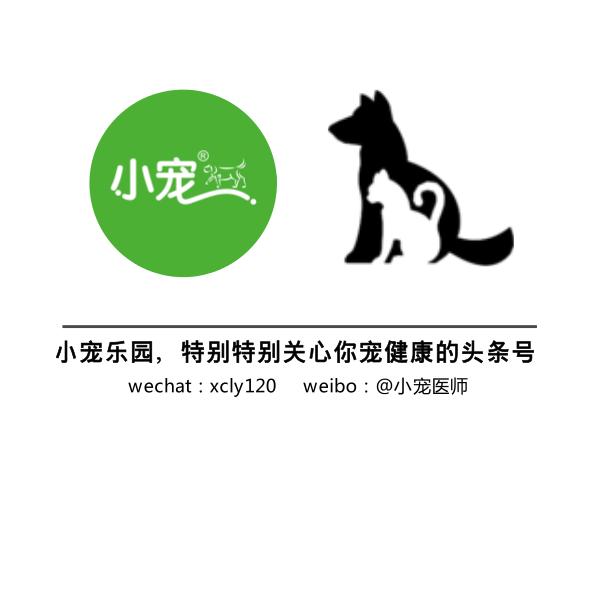 猫狗没有便便了？面临下岗的铲屎官该何去何从