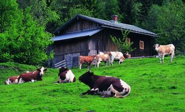 家庭农场挣钱不,家庭农场没有收入怎样报税