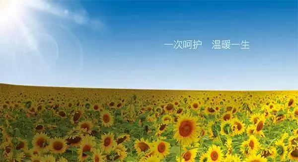 暖宫瑜伽60分钟跟练版,女性疗愈暖宫瑜伽视频教程