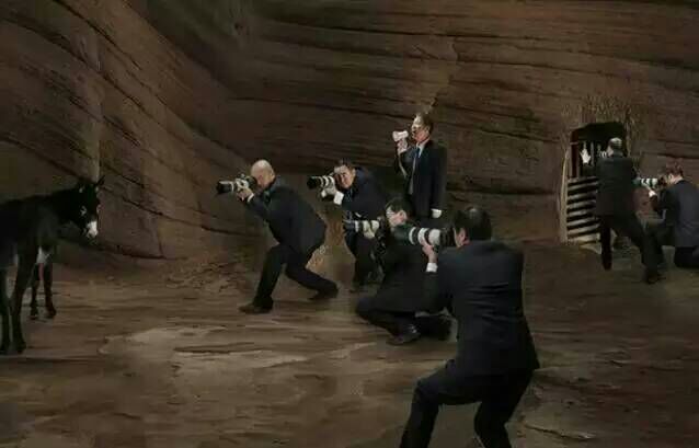 看完这些摄影作品点评，你的摄影技能会有大幅提升