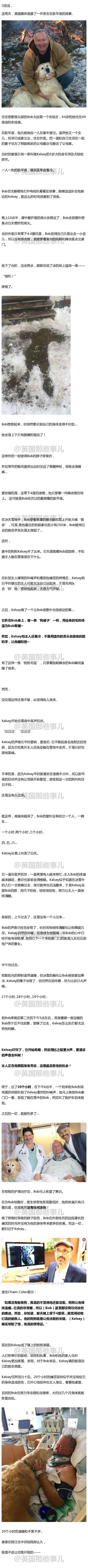 微观茶市丨古茶树安装GPS定位意义何在？