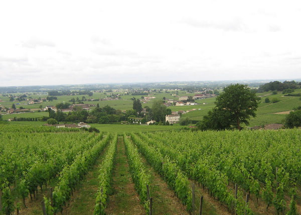 中端名庄酒推荐,世界顶级五大红酒名庄