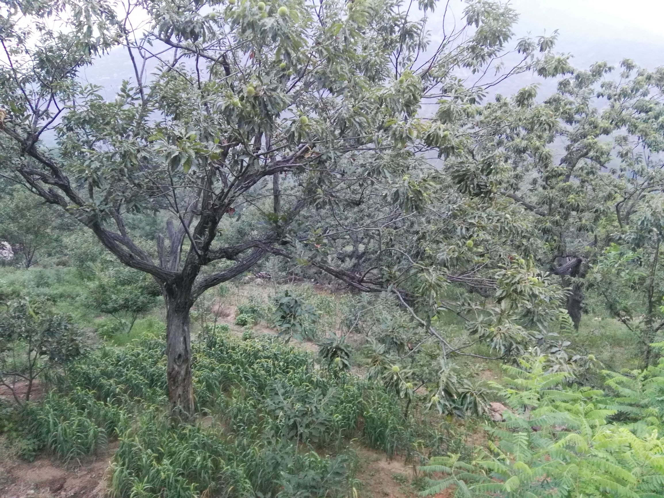 农村木材加工行业挣钱门路,现在什么行业最挣钱适合农村的