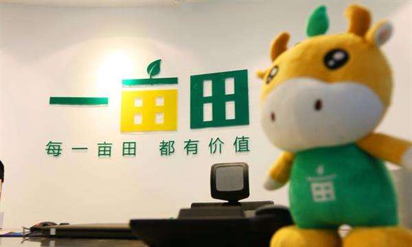 三农日报｜奇怪！两个梨卖到100元；一亩田完成C轮融资