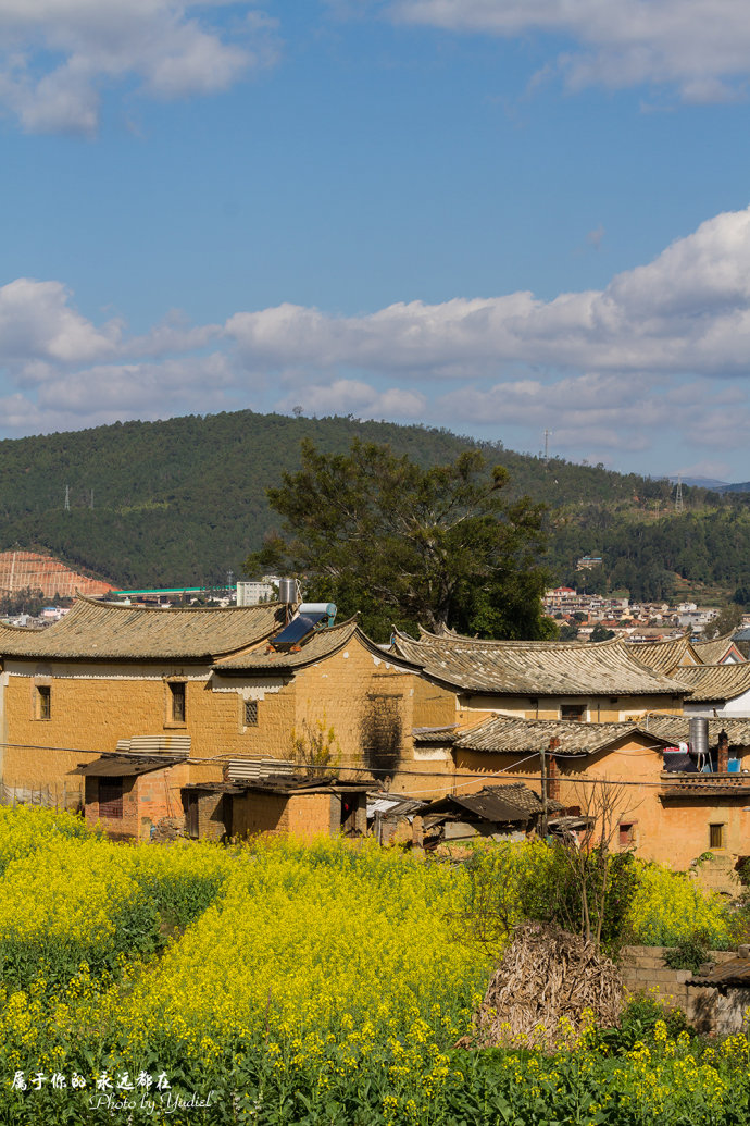 云南美丽的红河,云南红河一生的回忆