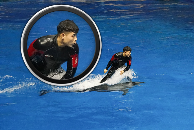 索尼a99ii最新价格,索尼a99ii样片