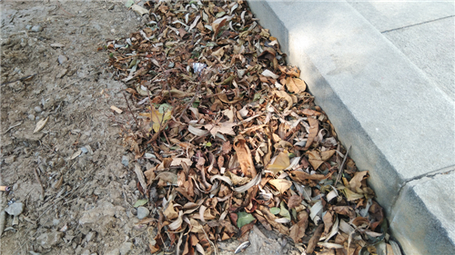 诺基亚6到底怎么样？买不买诺基亚6先看了这篇再说吧