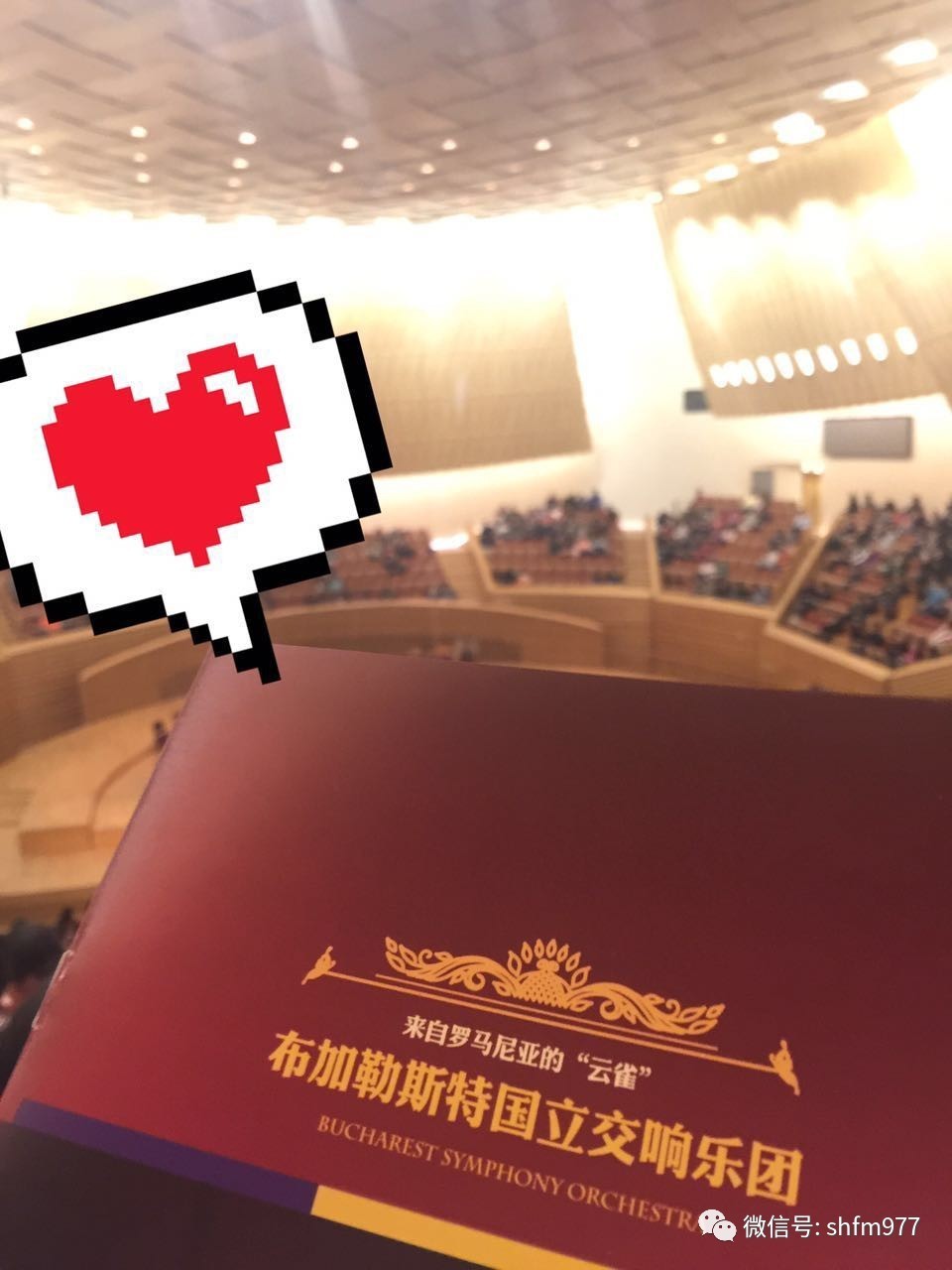 股市大家谈节目,股市大家谈文字