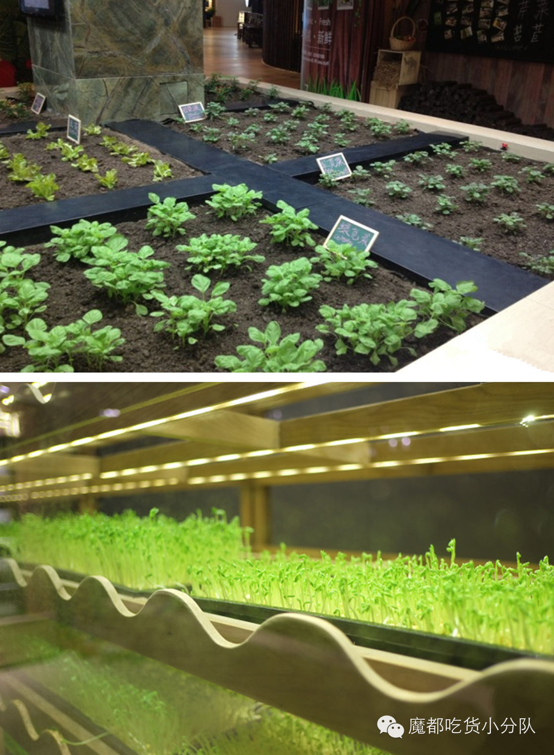 上海高端美食排行榜前十名,上海太古里美食排行榜第一名