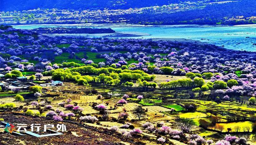 2019年成都自驾林芝看桃花,金川梨花赏花路线