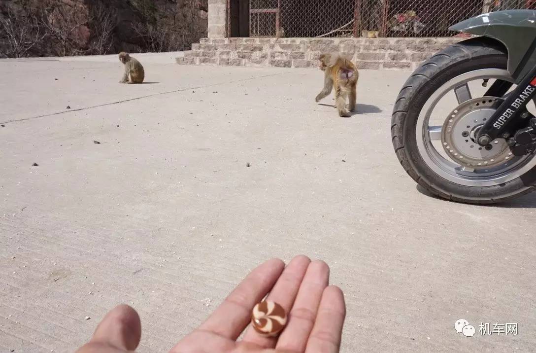 骑行西藏遇女孩,骑行318川藏线糊涂蛋