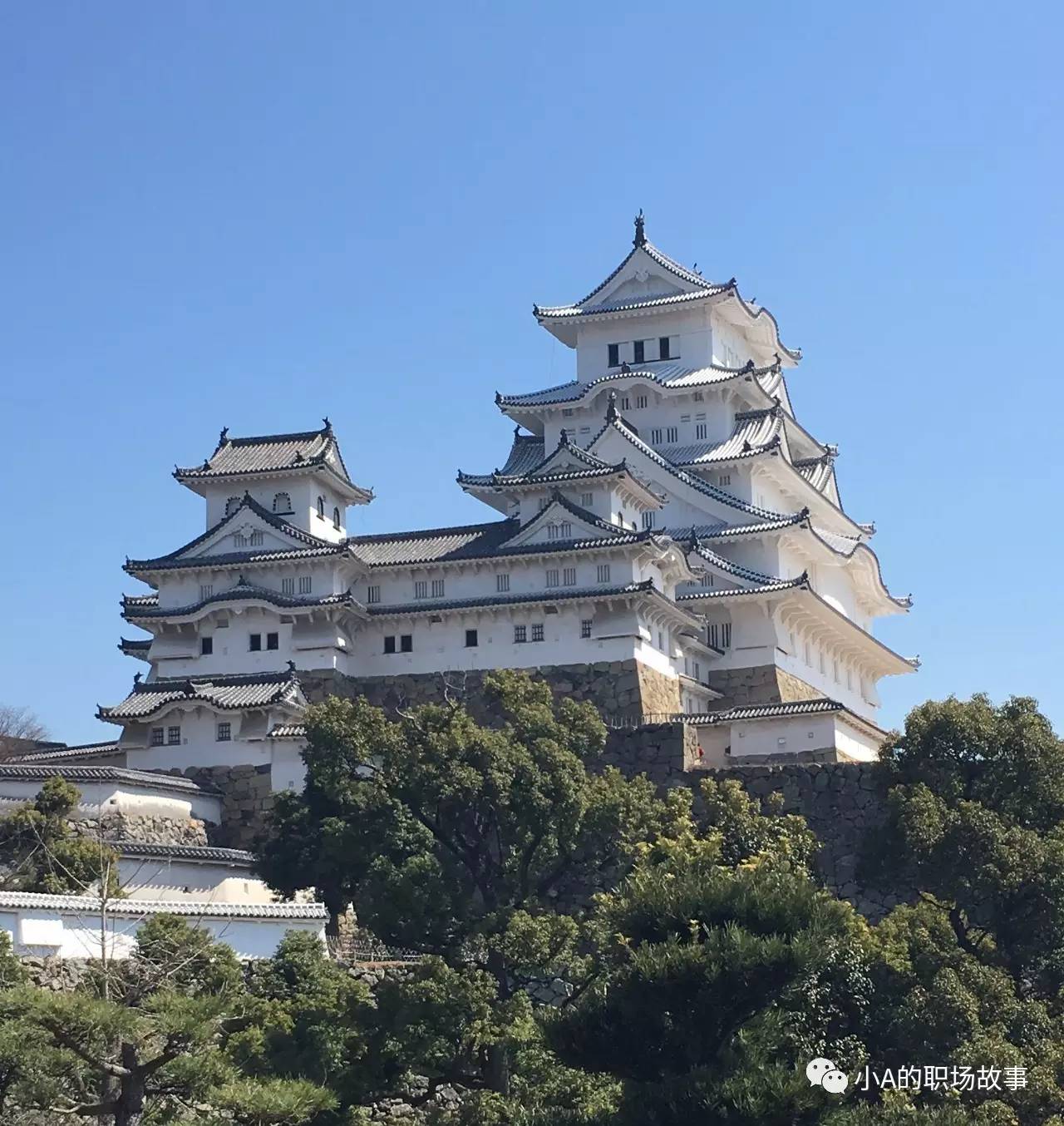 最全318攻略,京都大阪北海道9天