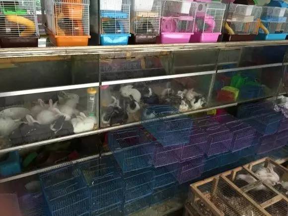 成都年货必备清单一览表,成都年货采购攻略